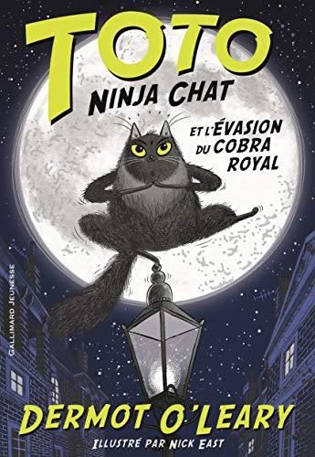 Toto ninja chat -01-